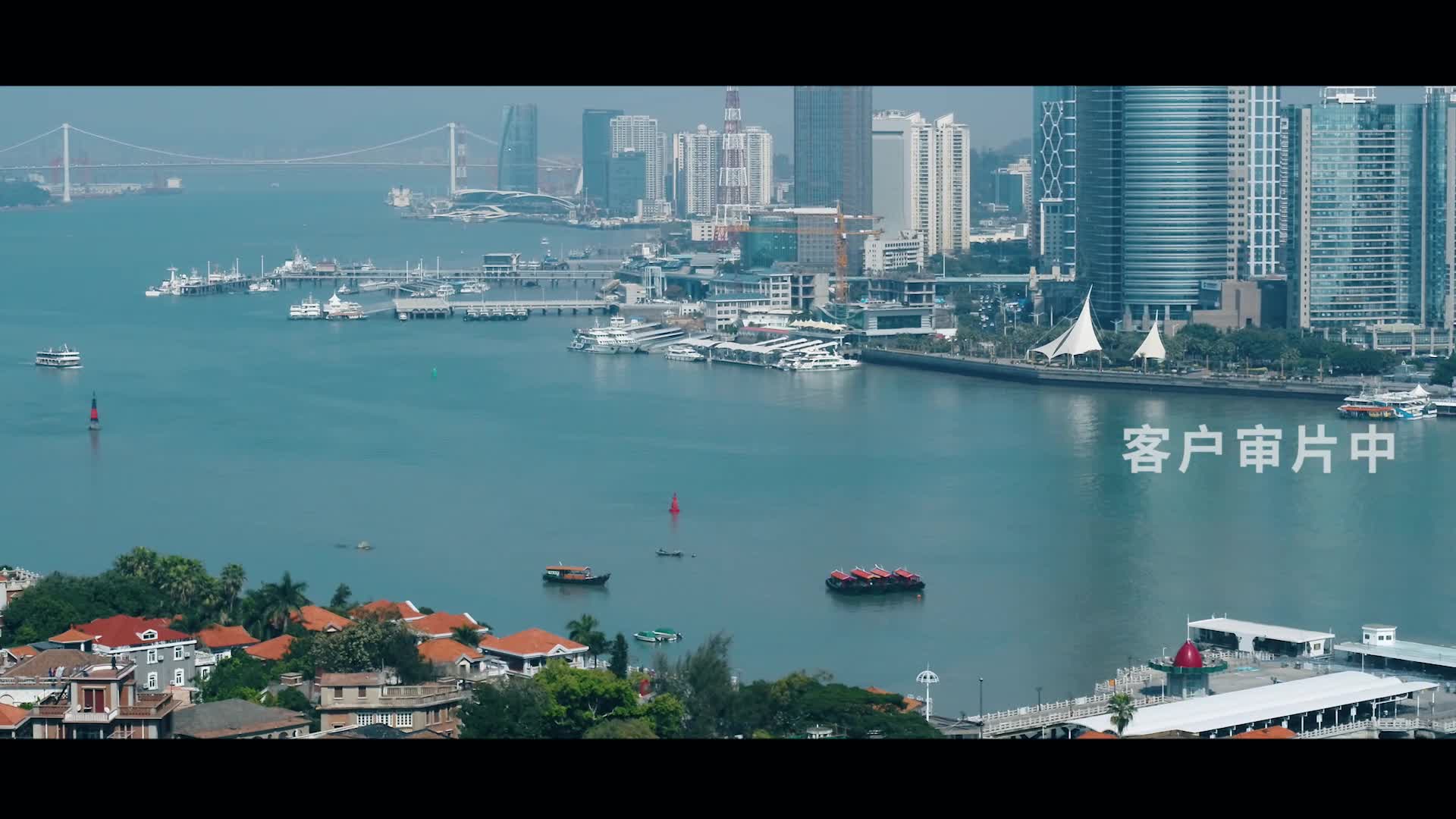 树鑫集团另一版本